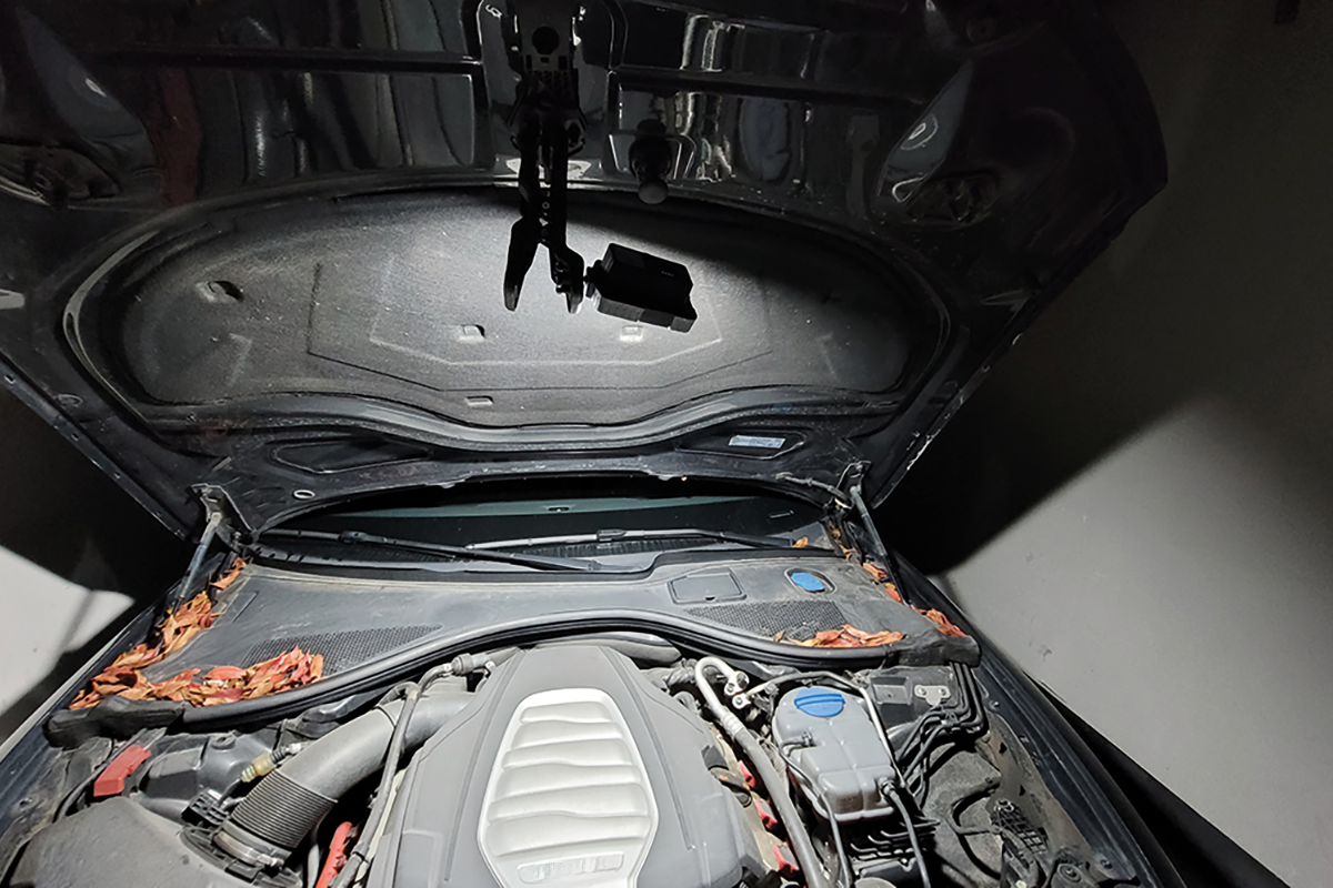 Gator 1000 - 1000 Lumens | Rechargeable Grip Light